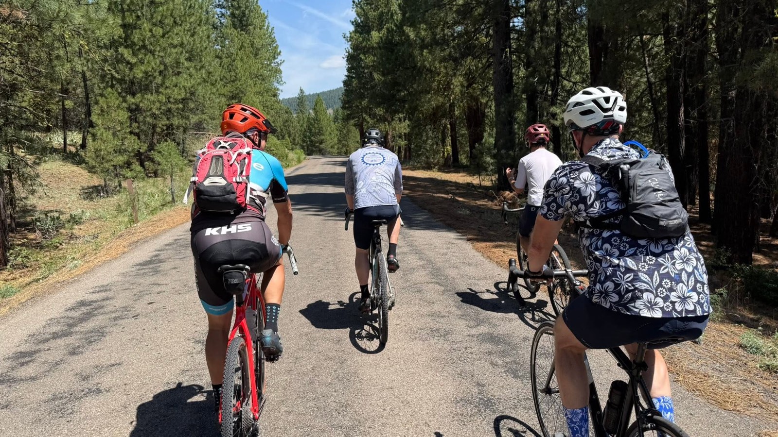 A group of riders rolling down a paved road lined with ponderosa pines shortly after the ride start
