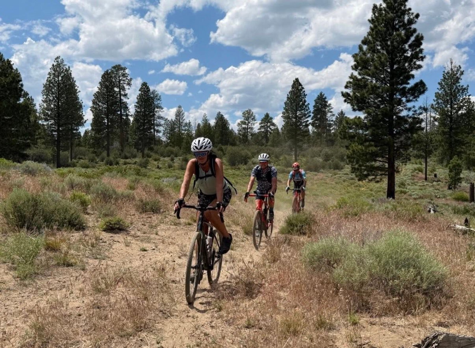 Three gravel riders kicking up dust on a forest trail, photo by Jill Mulder
